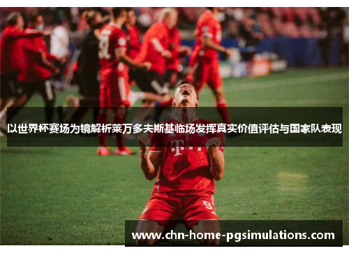 以世界杯赛场为镜解析莱万多夫斯基临场发挥真实价值评估与国家队表现