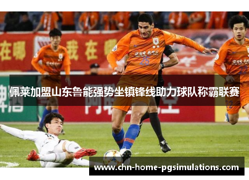 佩莱加盟山东鲁能强势坐镇锋线助力球队称霸联赛 佩莱加盟山东鲁能强势坐镇锋线助力球队称霸联赛