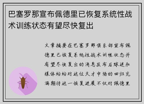 巴塞罗那宣布佩德里已恢复系统性战术训练状态有望尽快复出 巴塞罗那宣布佩德里已恢复系统性战术训练状态有望尽快复出