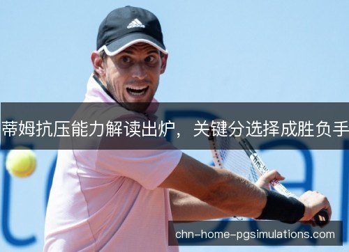 蒂姆抗压能力解读出炉，关键分选择成胜负手