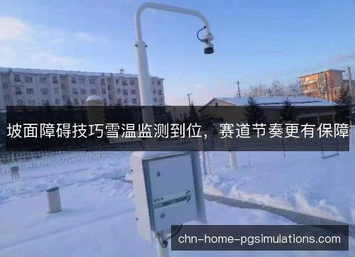 坡面障碍技巧雪温监测到位，赛道节奏更有保障